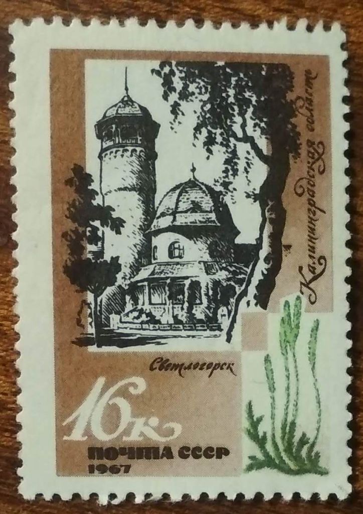 СССР Балтийский санаторий Светлогорск 1967 - фото фото фото 0