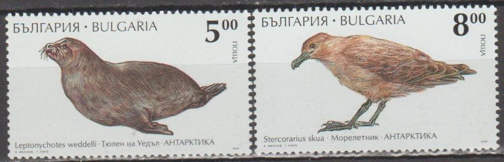 Болгария Болгарія 1995 фауна Антарктики - фото фото фото 0