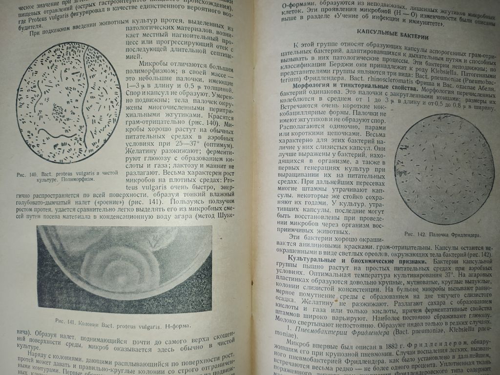 книга: УЧЕБНИК МЕДИЦИНСКОЙ МИКРОБИОЛОГИИ. II-e изд. 1949г.; - фото фото фото 12
