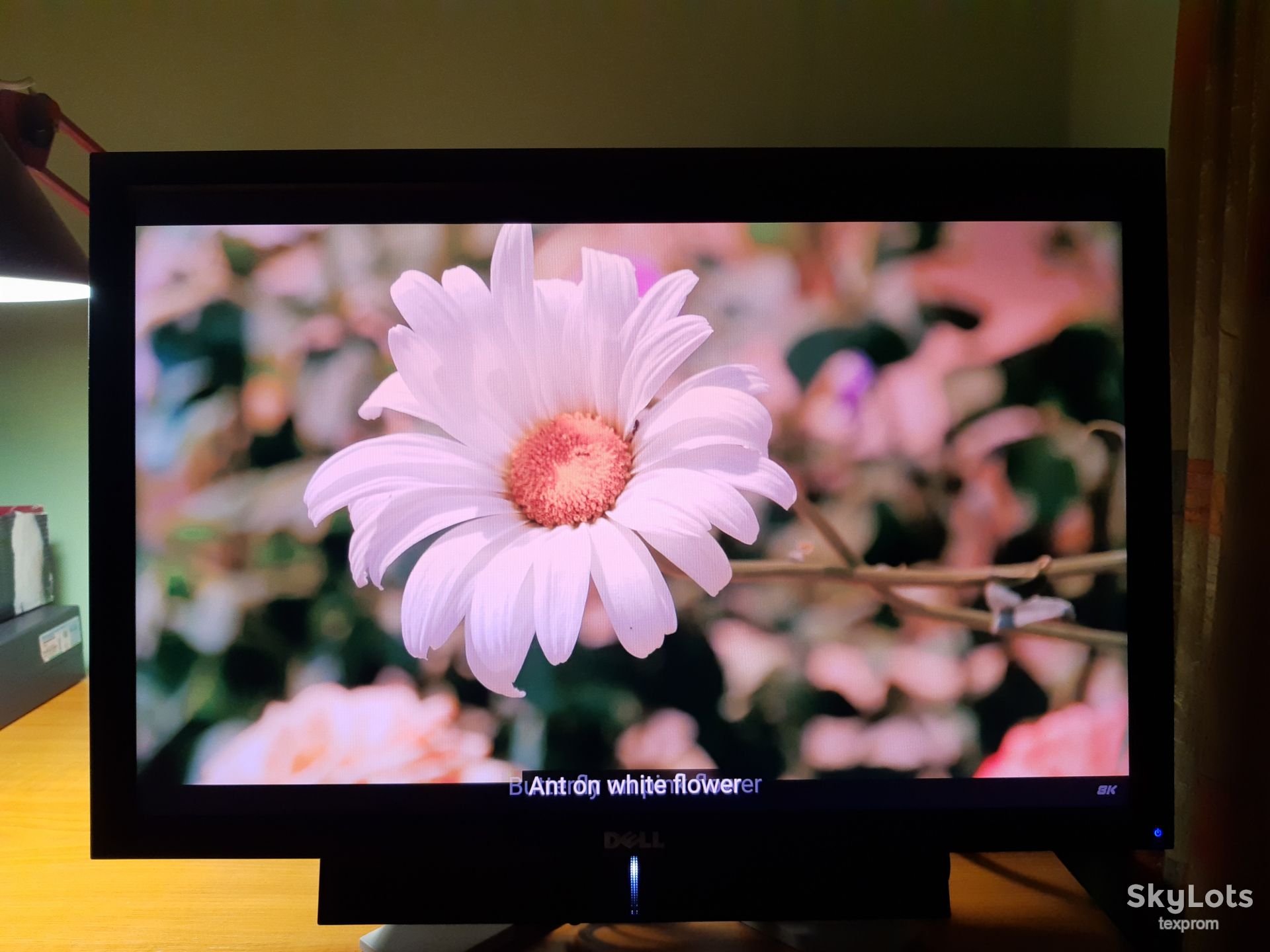 T-Con матриці LG Display LM240WU4 SLB3 - фото фото фото 4