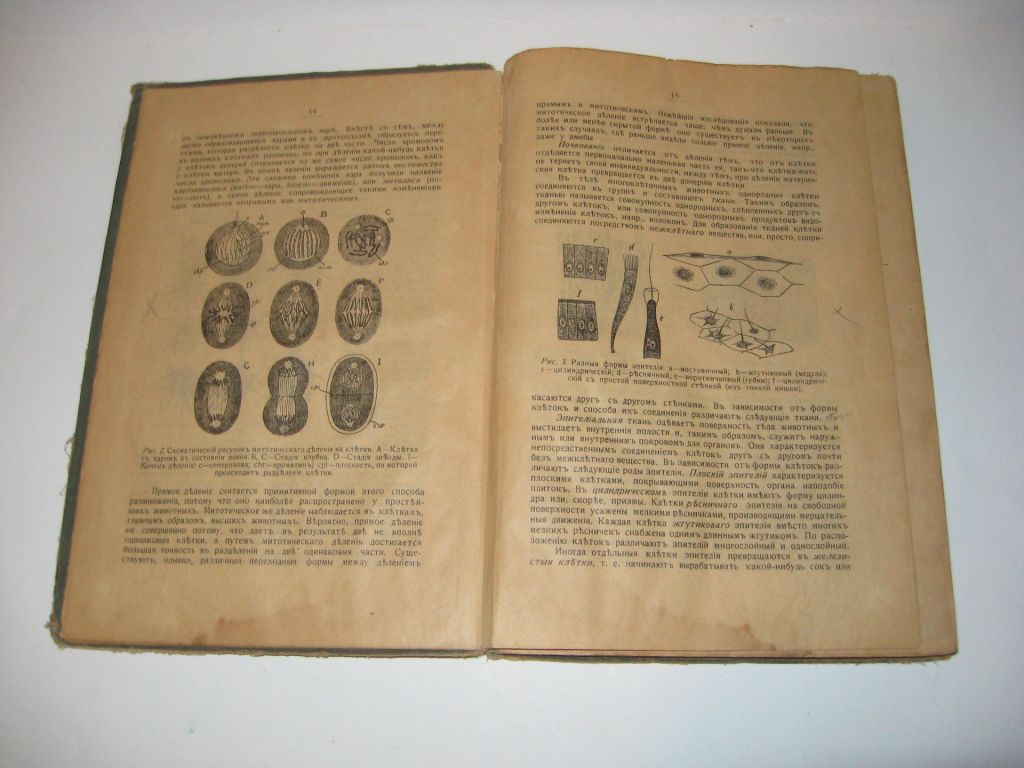 Книга Медицинская зоология учебник зоологии А. Никольский 1916 г. - фото фото фото 9
