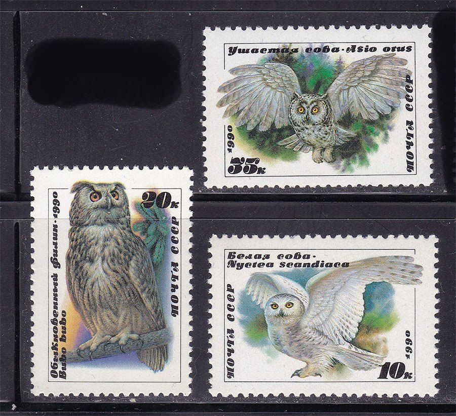 СССР  1990 г   MNH - фауна - птицы - фото фото фото 0