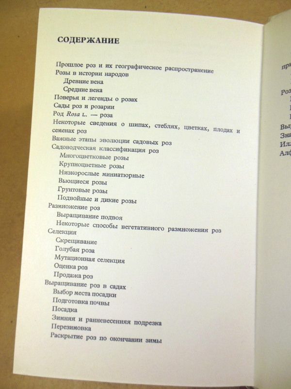 Людвик Вечержа. Розы - фото фото фото 2