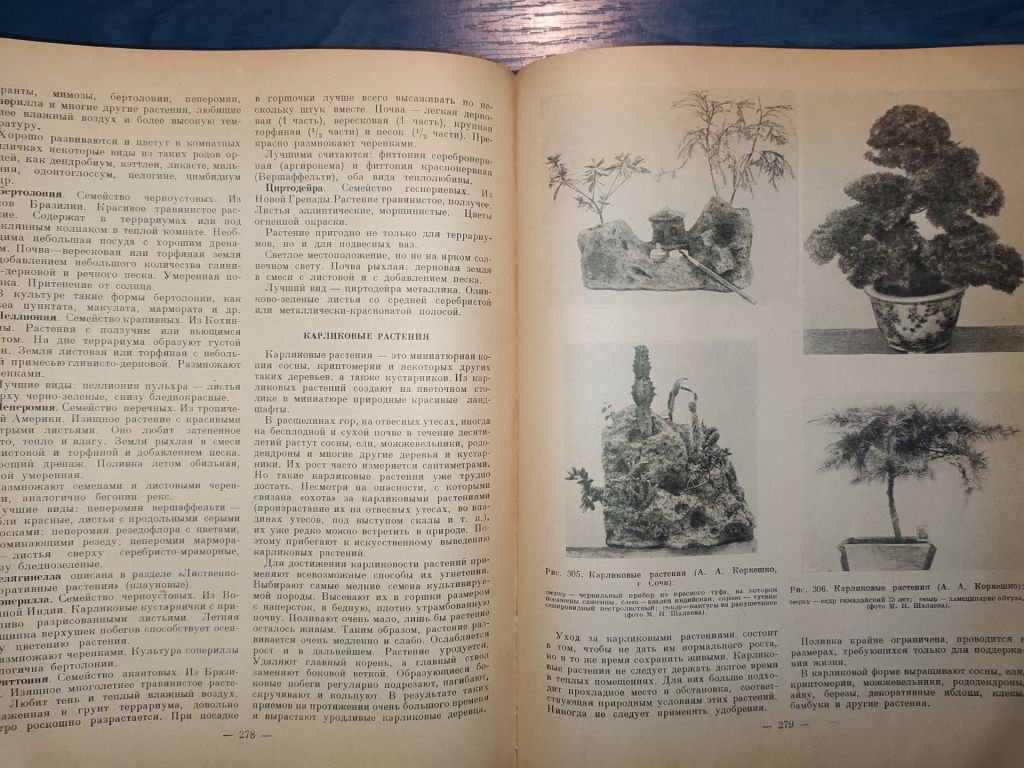 книга: КОМНАТНОЕ САДОВОДСТВО 1956г. - фото фото фото 11
