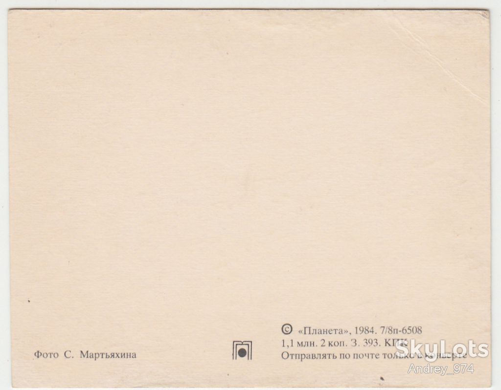 Поздравляем 1984 Мартьяхина Миниоткрытка Цветы Р8 - фото фото фото 1