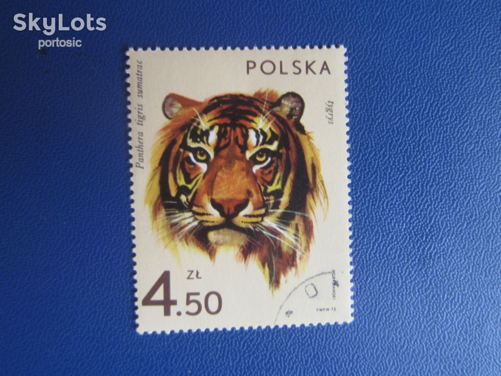 Марка Польща 1972 фауна тигр головна марка серії гаш - фото фото фото 0