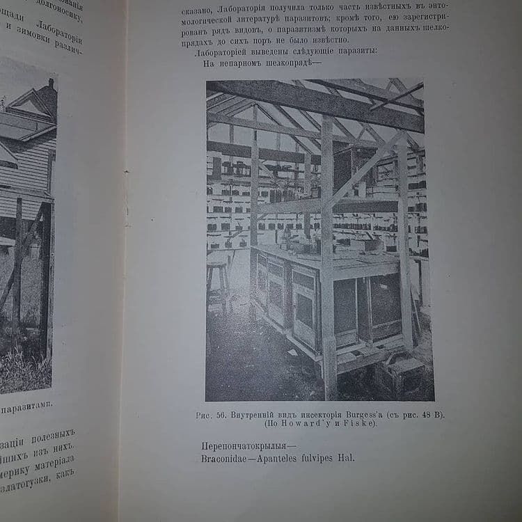 Сельскохозяйственная энтомология в Соединенных Штатах	Емельянов	1914 - фото фото фото 2