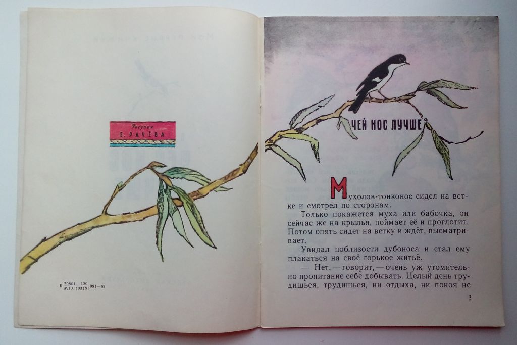 В. Бианки  Чей нос лучше. Рис. Рачева М: Дет. лит. 1981 - фото фото фото 2