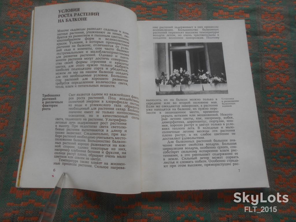 Р.Хён    Цветы  на  балконе    1980 г. - фото фото фото 5
