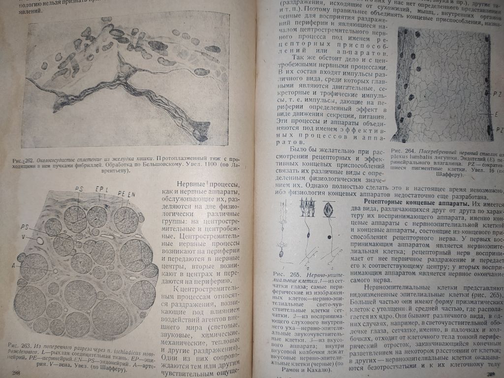 книга: ОСНОВЫ ГИСТОЛОГИИ И ГИСТОГЕНЕЗА ЧЕЛОВЕКА. Часть I. 1931г. - фото фото фото 12