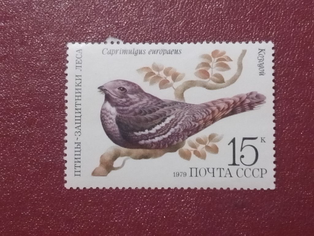 Распродажа, СССР - фото фото фото 0