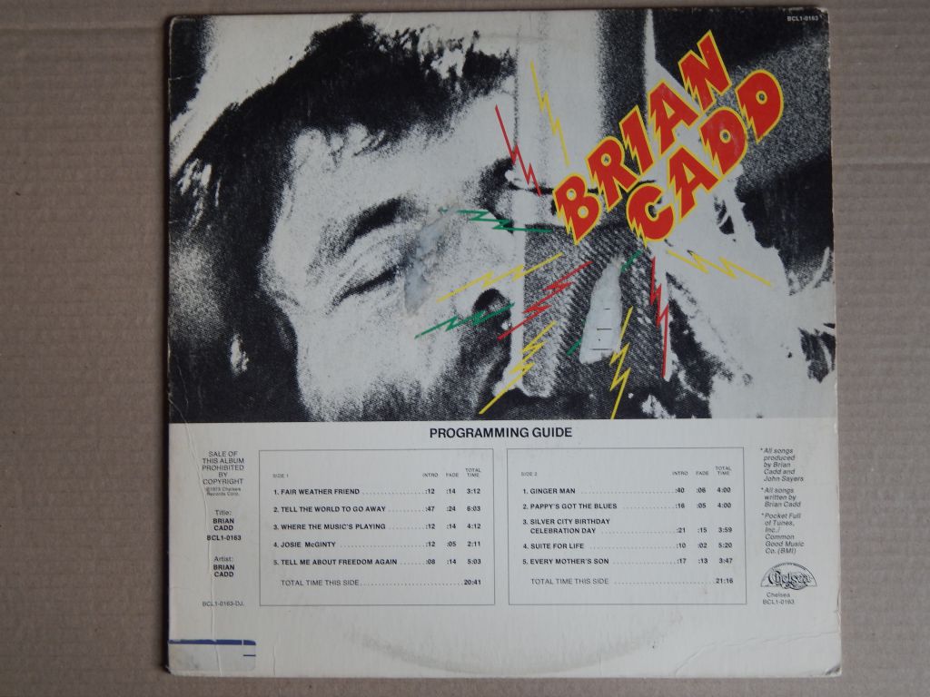 Brian Cadd ‎– Brian Cadd 1973   (Chelsea Records ‎– BCL1-0163, US) EX+/EX+ - фото фото фото 0