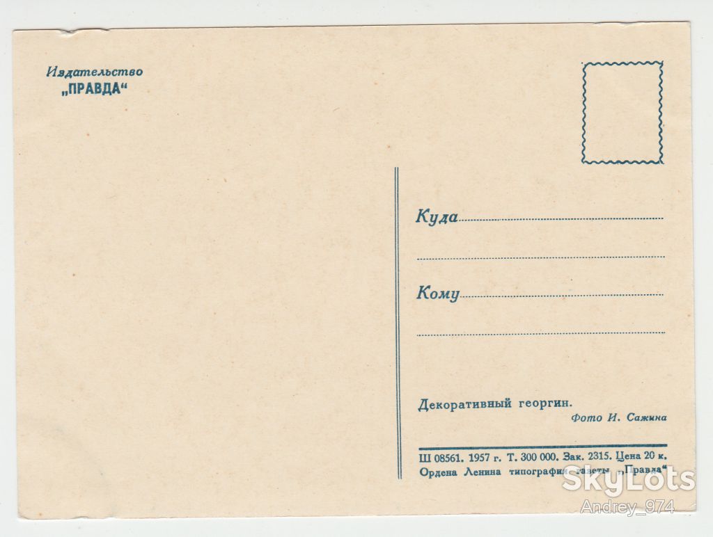 Цветы Р8 - фото фото фото 1