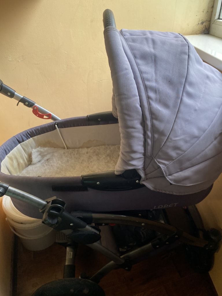 Коляска - фото фото фото 1