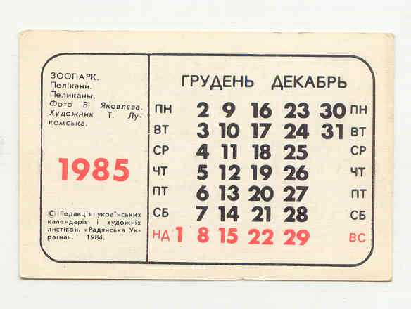 СССР 1985  Календарик  Фора Фауна Птицы Пеликан Яковлев - фото фото фото 1