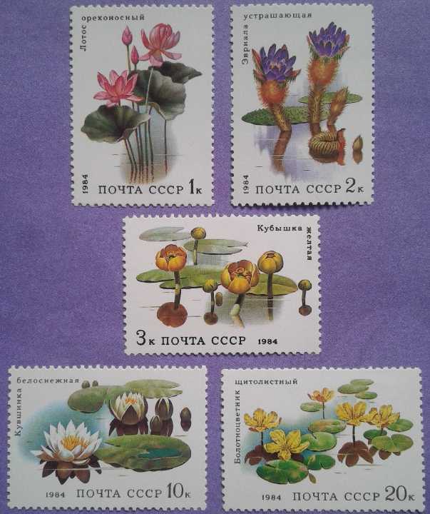 СССР 1984 флора цветы СК 5433-5437 MNH - фото фото фото 0