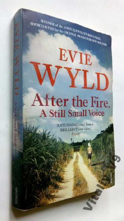 Evie Wyld. After the Fire, a Still Small Voice. - фото фото фото 0
