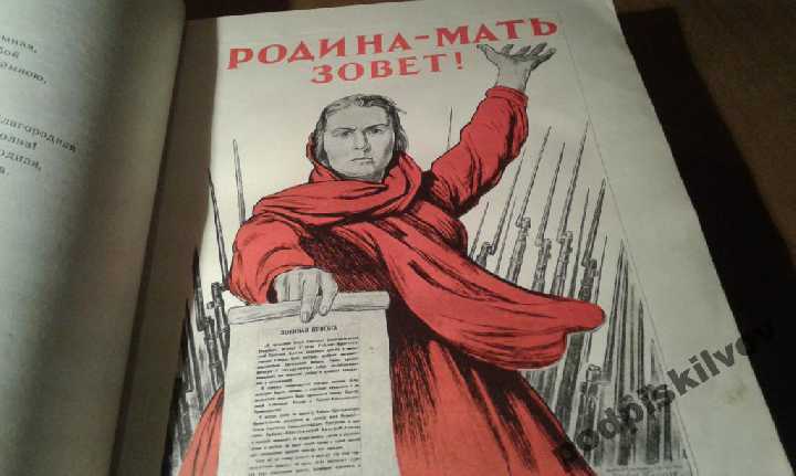 За Родину! За Сталина! - фото фото фото 4