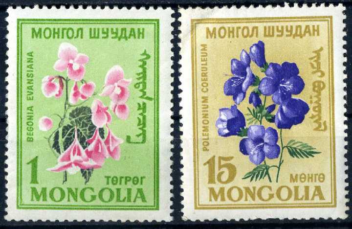 Монголия. Цветы. (концовка)* 1960 г. - фото фото фото 0
