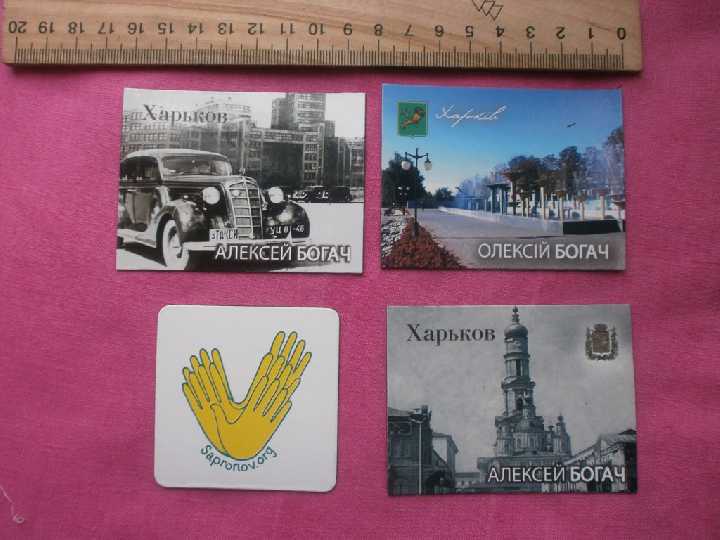 Магниты политика,  выборы 2015, 4 вида - фото фото фото 3