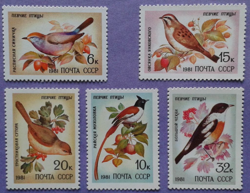 СССР 1981 фауна птицы СК 5153-5157 MNH - фото фото фото 0
