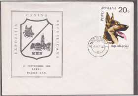 Європа Европа ^/--/^ Румыния 1977 ВЫСТАВКА СОБАК СОБАКИ МЛЕКОПИТАЮЩИЕ ЖИВОТНЫЕ КИНОЛОГИЯ ДРЕССИРОВКА ФАУНА ХК СГ ^_^^^ Румунія 1977 ВИСТАВКА СОБАК СОБАКИ МЛЕКОПИТАЮЧІ ТВОТНІ КИНОЛОГІЯ ДРЕСУВАННЯ ФАУНА ХК СГ - фото фото фото
