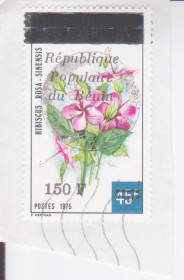 Інші країни Другие страны ^/--/^ Бенин 1986 ЦВЕТЫ ГИБИСКУС Hibiscus Rosa-Sinensis ЭНДЕМИКИ ПРИРОДА РАСТЕНИЯ ФЛОРА Напечатка Mi.644 ^_^^^ Бенін 1986 ЦВЕТИ ГІБИСКУС Hibiscus Rosa-Sinensis ЕНДЕМІКИ ПРИРОДУ РАСТІННЯ ФЛОРА Надруківка Mi.644 - фото фото фото