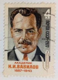 СРСР - СССР - ^/--/^ СССР 1977 Вавилов, гашеная (I) ^_^^^ СРСР 1977 Вавилов, гашена (I) - фото фото фото