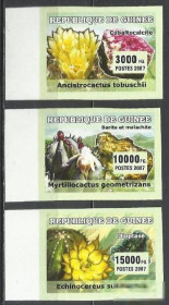 Гвінея Гвинея ^/--/^ Гвинея 2007 флора кактусы минералы 3 /--/ м.б/з ^_^^^ Гвінея 2007 флора кактуси мінерали 3 /--/ м.б/з - фото фото фото