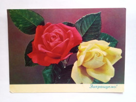 СРСР СССР ^/--/^ Открытка СССР Запрошуємо 1970 фото К.Шамшина чистая ^_^^^ Открытка СССР приглашает 1970 фото К.Шамшина чистая - фото фото фото