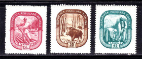 Фауна Фауна ^/--/^ Фауна . Румыния 1955  **    -  кабан  , быт ^_^^^ Фауна . Румунія 1955 ** - кабан, побут - фото фото фото