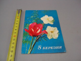 СРСР СССР ^/--/^ Открытка 8 марта цветы художник В. Флакс фото Р. Якименка 1975 год №17879 ^_^^^ Листівка 8 березня квіти художник В. Флакс фото Р. Якименка 1975 рік No /--/ 17879 - фото фото фото
