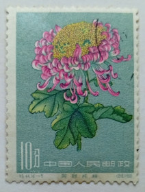 Китай Китай ^/--/^ Китай 1960 Цветы, хризантема, гашеная ^_^^^ Китай 1960 Квіти, хризантема, гашена - фото фото фото