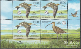 Країни СНД Страны СНГ ^/--/^ Беларусь 2011 фауна птица года 10-й выпуск Mi 849 MNH квартблок с купоном ^_^^^ Білорусь 2011 фауна птахів року 10-й випуск Mi 849 MNH квартблок з купоном - фото фото фото