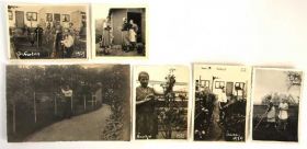 Листи, фото Письма, фото ^/--/^ Старые фото Сад и огород, 6 штук, 1920-е, Германия ^_^^^ Старі фото Сад і город, 6 штук, 1920-е, Німеччина - фото фото фото