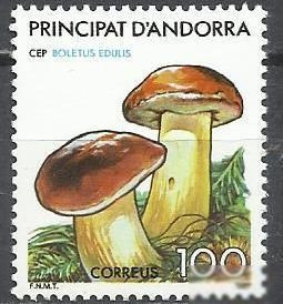 Інші країни Другие страны ^/--/^ Андорра испан. 1987 грибы 1 /--/ м. ^_^^^ Андорра іспан. 1987 гриби 1 /--/ м. - фото фото фото