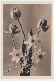 СРСР СССР ^/--/^ С днем рождения 1960  Фотооткрытка Цветы P /--/ 11 /--/ B ^_^^^ З днем народження 1960 Фотовідкритка Квіти P /--/ 11 /--/ B - фото фото фото
