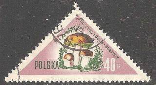 Польща Польша ^/--/^ Польша 1959 Sc.844 used ^_^^^ Польща 1959 Sc.844 used - фото фото фото