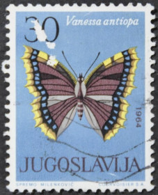 Інше Другое ^/--/^ Югославия Фауна Бабочки 1964 ^_^^^ Югославія Фауна Бабочки 1964 - фото фото фото