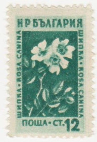 Балканський півострів Балканский полуостров ^/--/^ Болгария 1953 г № 866 ** ^_^^^ Болгарія 1953 р No 866 ** - фото фото фото