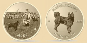 Угорщина Венгрия ^/--/^ Венгрия 2000 форинтов 2022 ^_^^^ Угорщина 2000 форинтів 2022 - фото фото фото