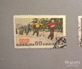 Спорт Спорт ^/--/^ СССР Охота 1949 ^_^^^ СРСР Полювання 1949 - фото фото фото