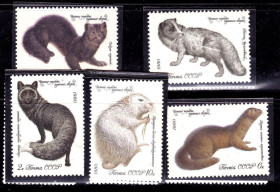 СРСР - СССР - ^/--/^ СССР  1980 г   MNH -  фауна ^_^^^ СРСР 1980 р MNH - фауна - фото фото фото