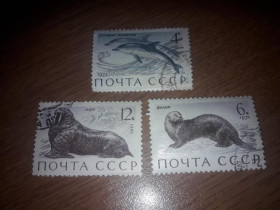Інше Другое ^/--/^ СССР 1971 Морские млекопитающие 3 марки из серии гаш ^_^^^ СРСР 1971 Морські ссавці 3 марки з серії гаш - фото фото фото