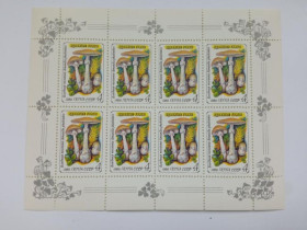 СРСР - СССР - ^/--/^ СССР. 1986 г. ФЛОРА. ЯДОВИТЫЕ ГРИБЫ. ПОЛНАЯ СЕРИЯ в ПЯТИ МАЛЫХ ЛИСТАХ. MNH ^_^^^ СРСР. 1986 ФЛОРА. Отруйні гриби. Повна серія в п'яти малих листах. MNH - фото фото фото