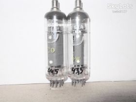 Радіолампи Радиолампы ^/--/^ Радиолампы EL /--/ 81 TESLA ТЕСТ лот - пара№2 ^_^^^ Радіолампи EL /--/ 81 TESLA ТЕСТ лот - параNo /--/ 2 - фото фото фото