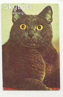 Календарі Календари ^/--/^ СССР 1989 Календарик  Флора Фауна Кот Кошка ^_^^^ СРСР 1989 Календарик Флора Фауна Кот Кошка - фото фото фото