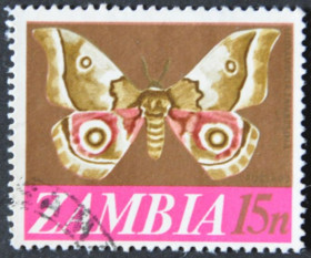 Інше Другое ^/--/^ Замбия Фауна Насекомые Бабочки 1967 ^_^^^ Замбія Фауна Комахи Бабочки 1967 - фото фото фото