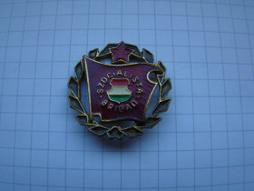 Відзнаки Знаки отличий ^/--/^ Знак Бригада социалистического труда, Венгрия. ^_^^^ Знак Бригада соціалістичної праці, Угорщина. - фото фото фото