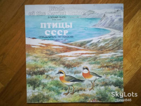 Платівки Пластинки ^/--/^ Птицы СССР-Определитель по голосам  (гагары, кулики)  (1)-NM-Мелодия ^_^^^ Птахи СРСР-Визначник за голосами (гагари, кулики) (1)-NM-Мелодія - фото фото фото